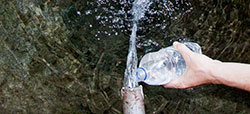 fuente